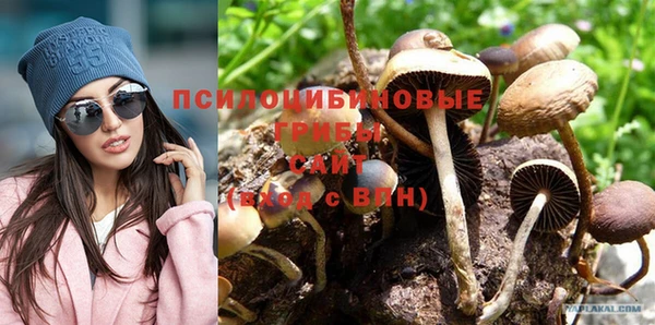 mix Богородицк