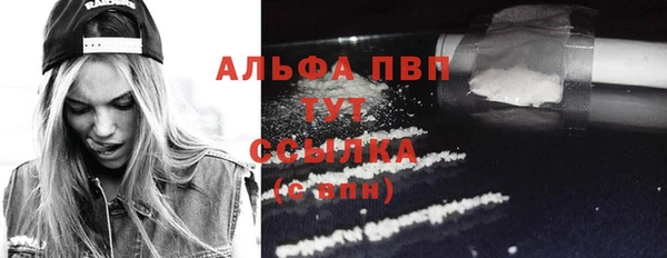 mix Богородицк
