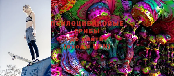 mix Богородицк